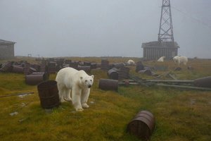  Дмитрий Кох. Заброшенная метеостанция. 09.jpg